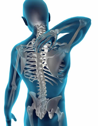 Calgary NW chiropractor services
